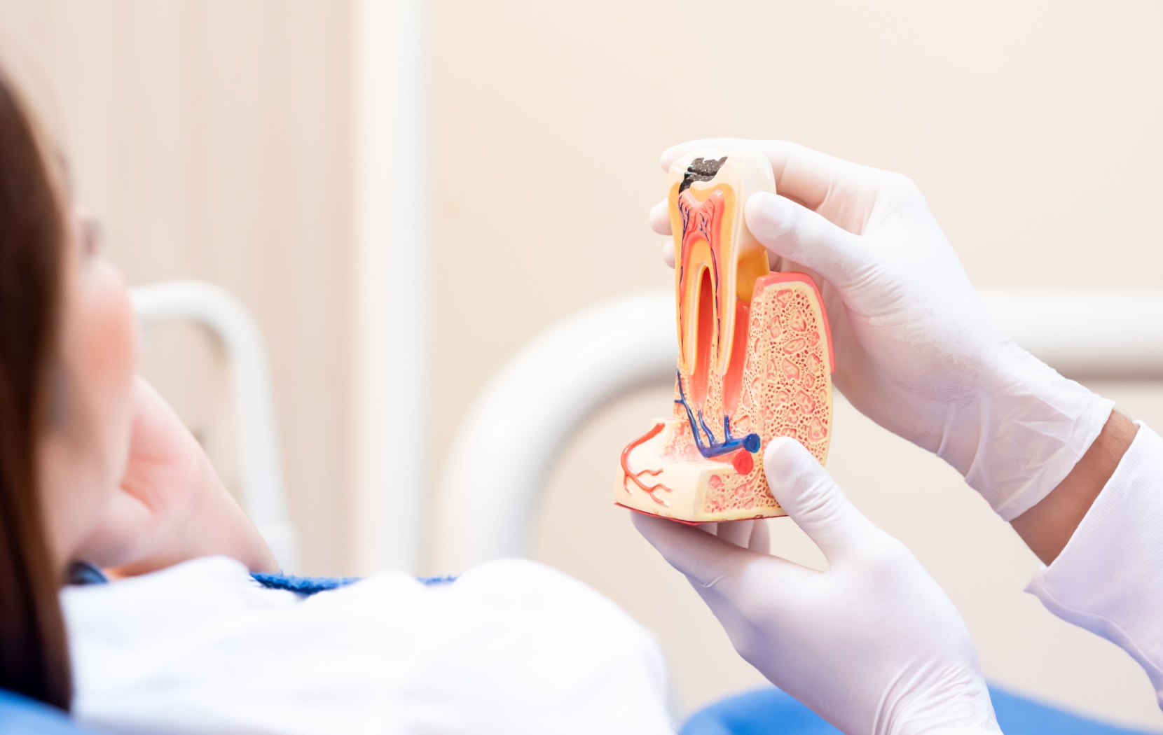 A dentist holds up a model of a tooth to explain a root canal procedure to a patient sitting in front of them.
